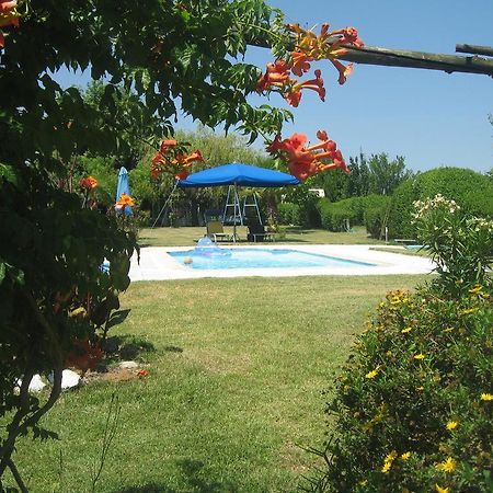 Casa Das Andorinhas Palmela Ngoại thất bức ảnh
