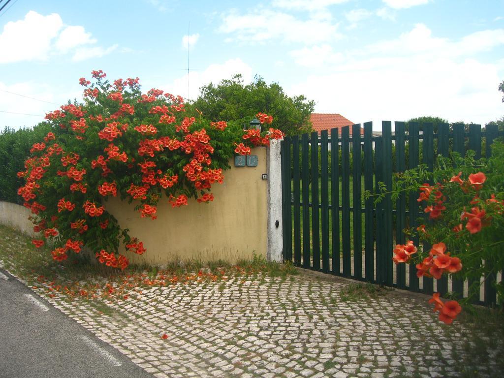 Casa Das Andorinhas Palmela Ngoại thất bức ảnh